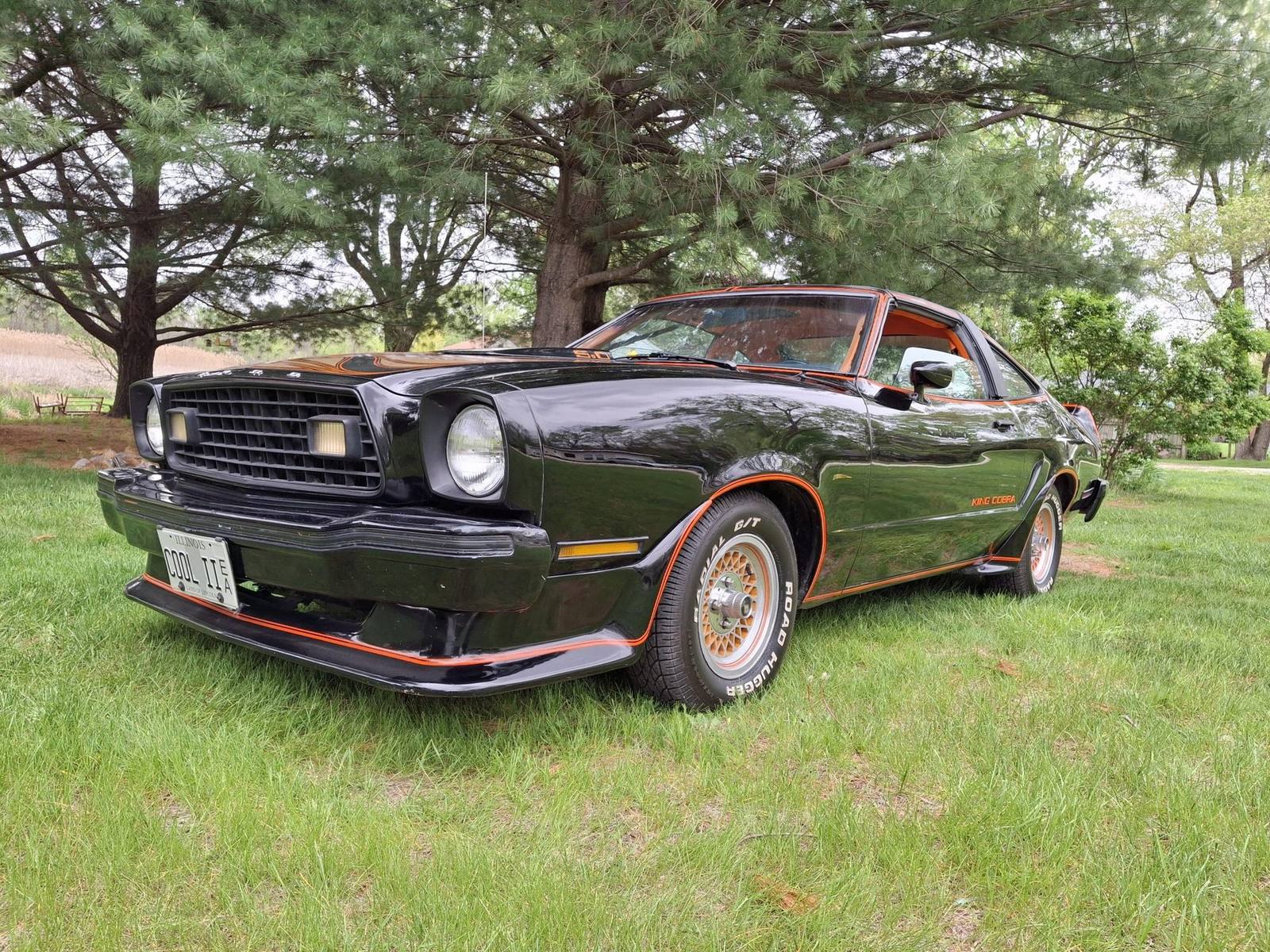King Cobra (Mustang II)