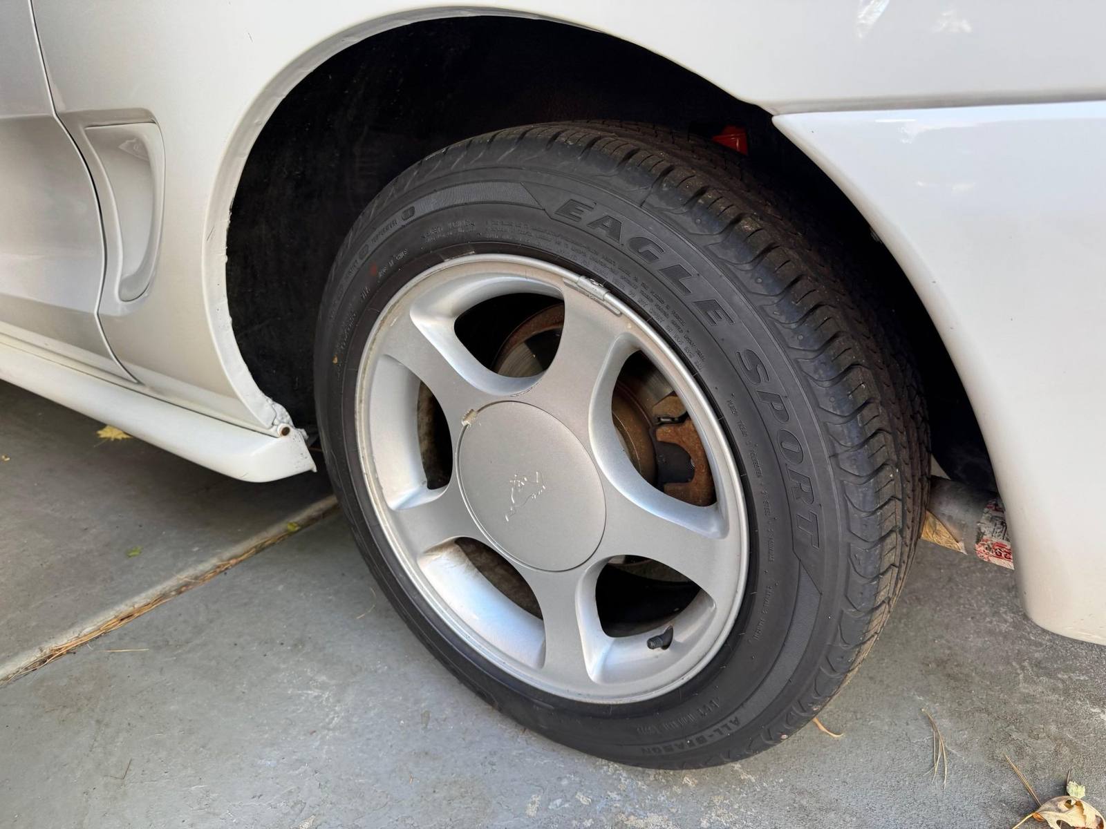 V6 (SN95)