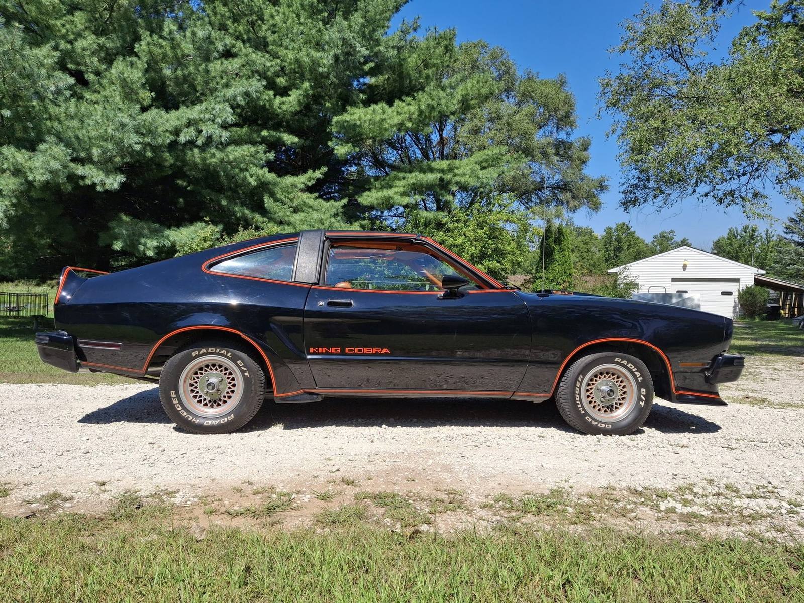 King Cobra (Mustang II)