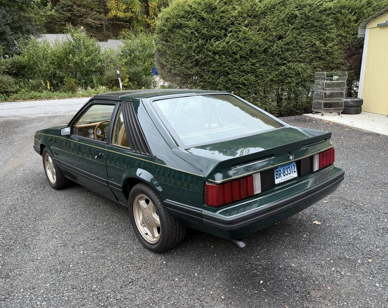Ghia (Fox)