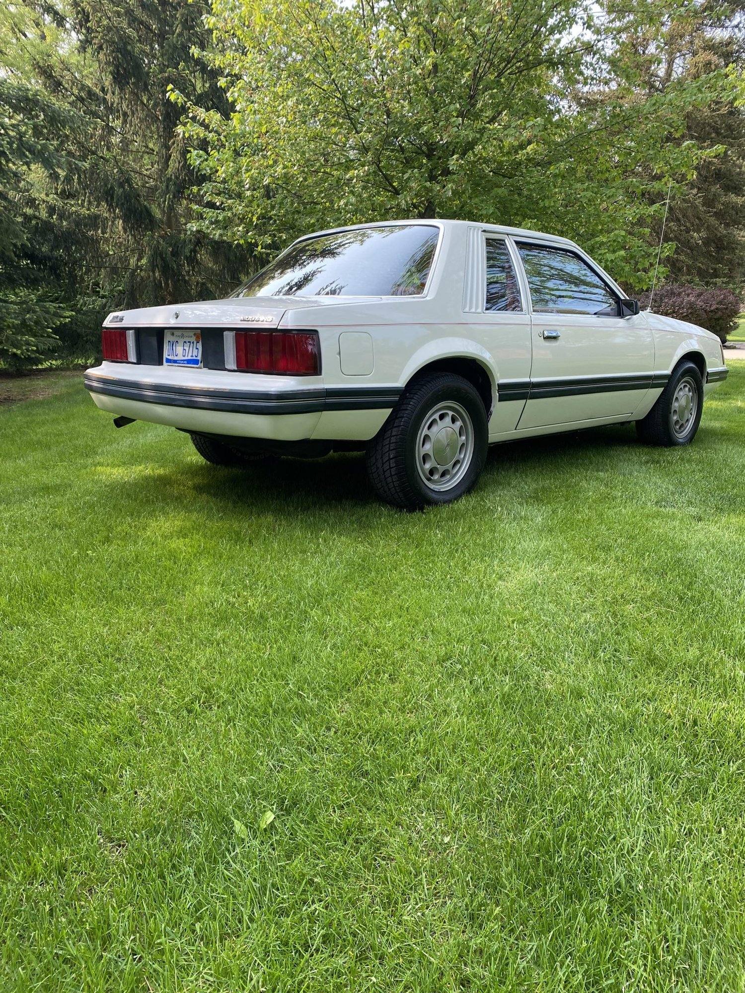 L/LX (Fox)