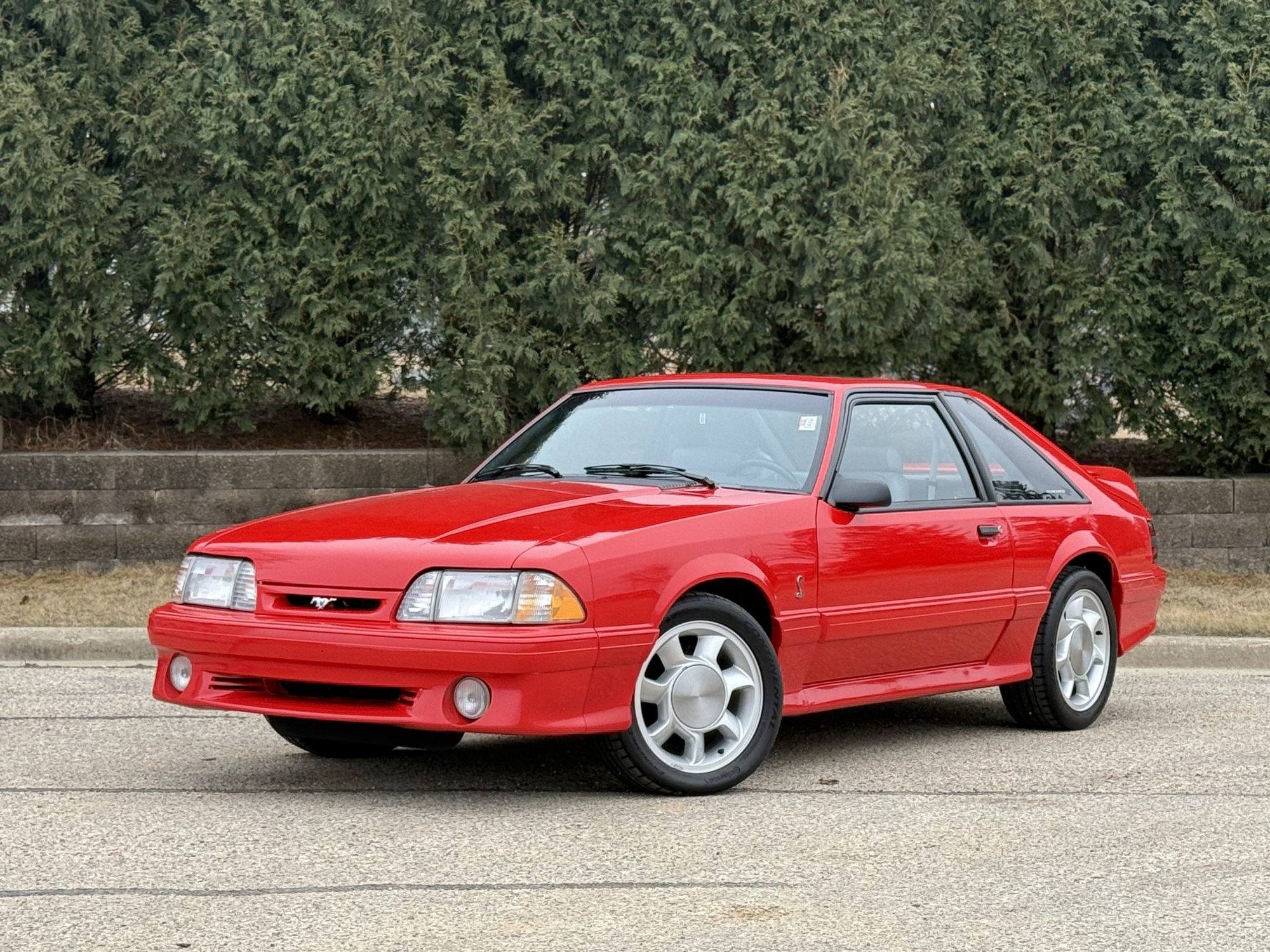 SVT Cobra (Fox)