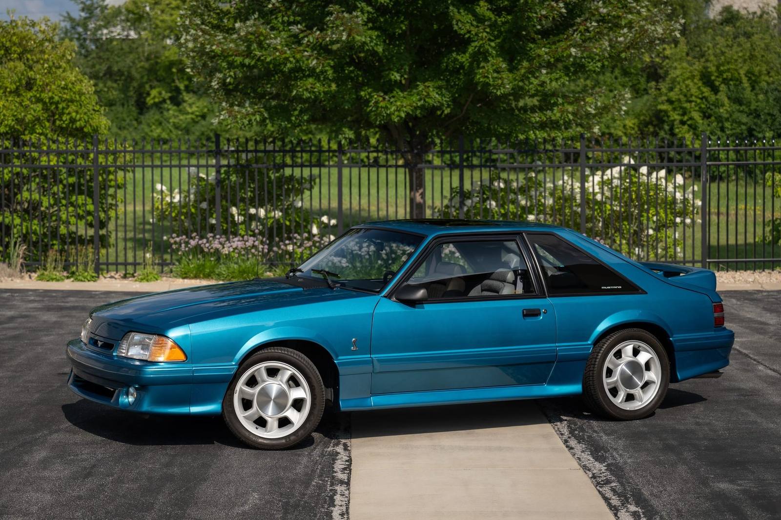 SVT Cobra (Fox)