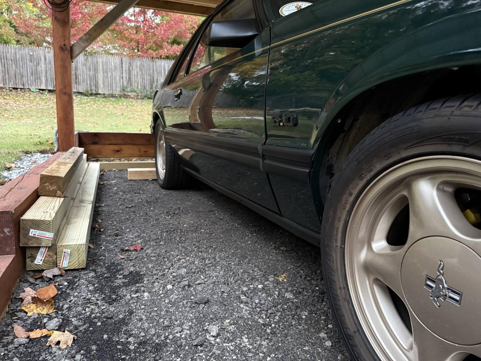 Ghia (Fox)
