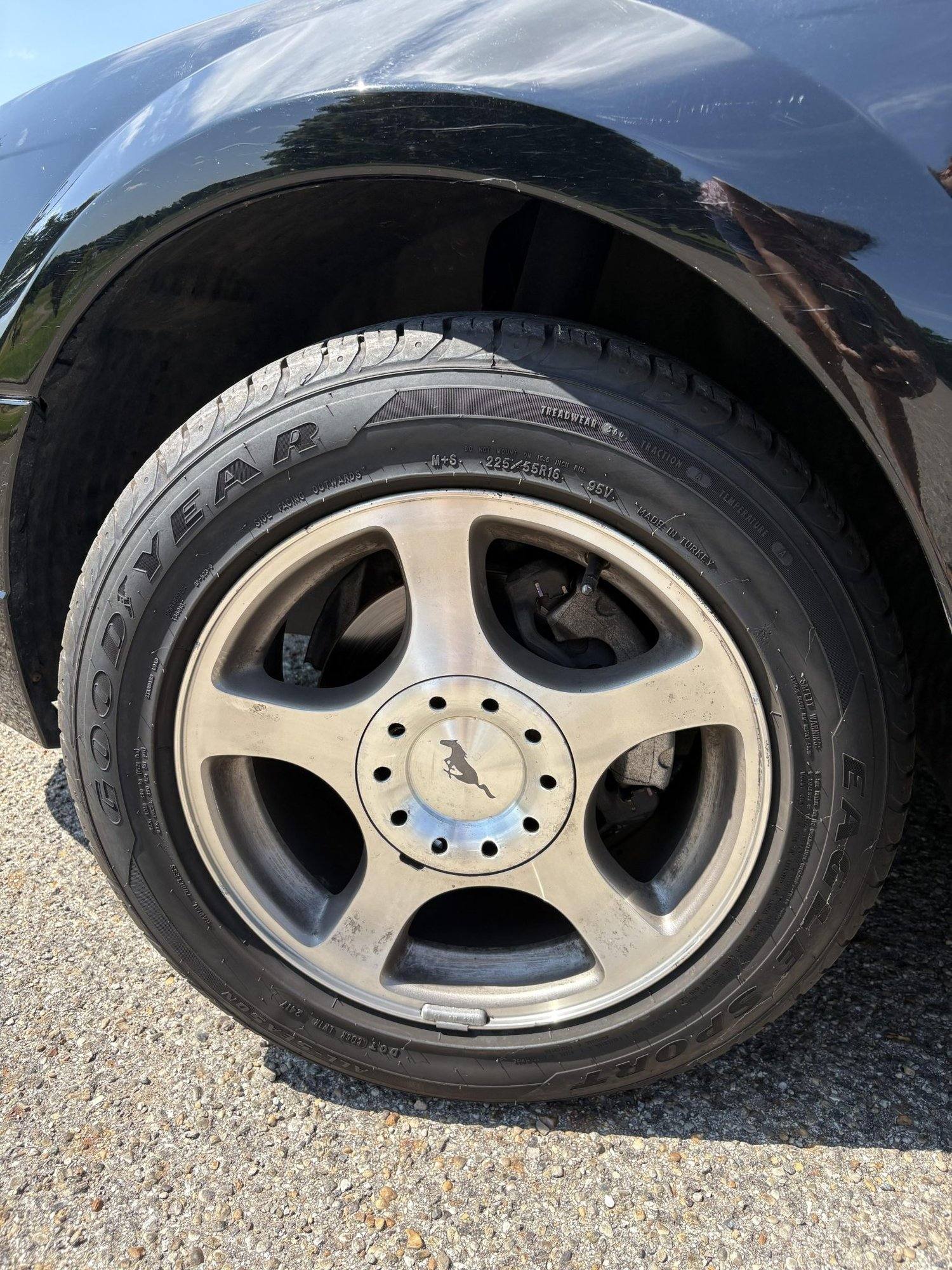 V6 (SN95)