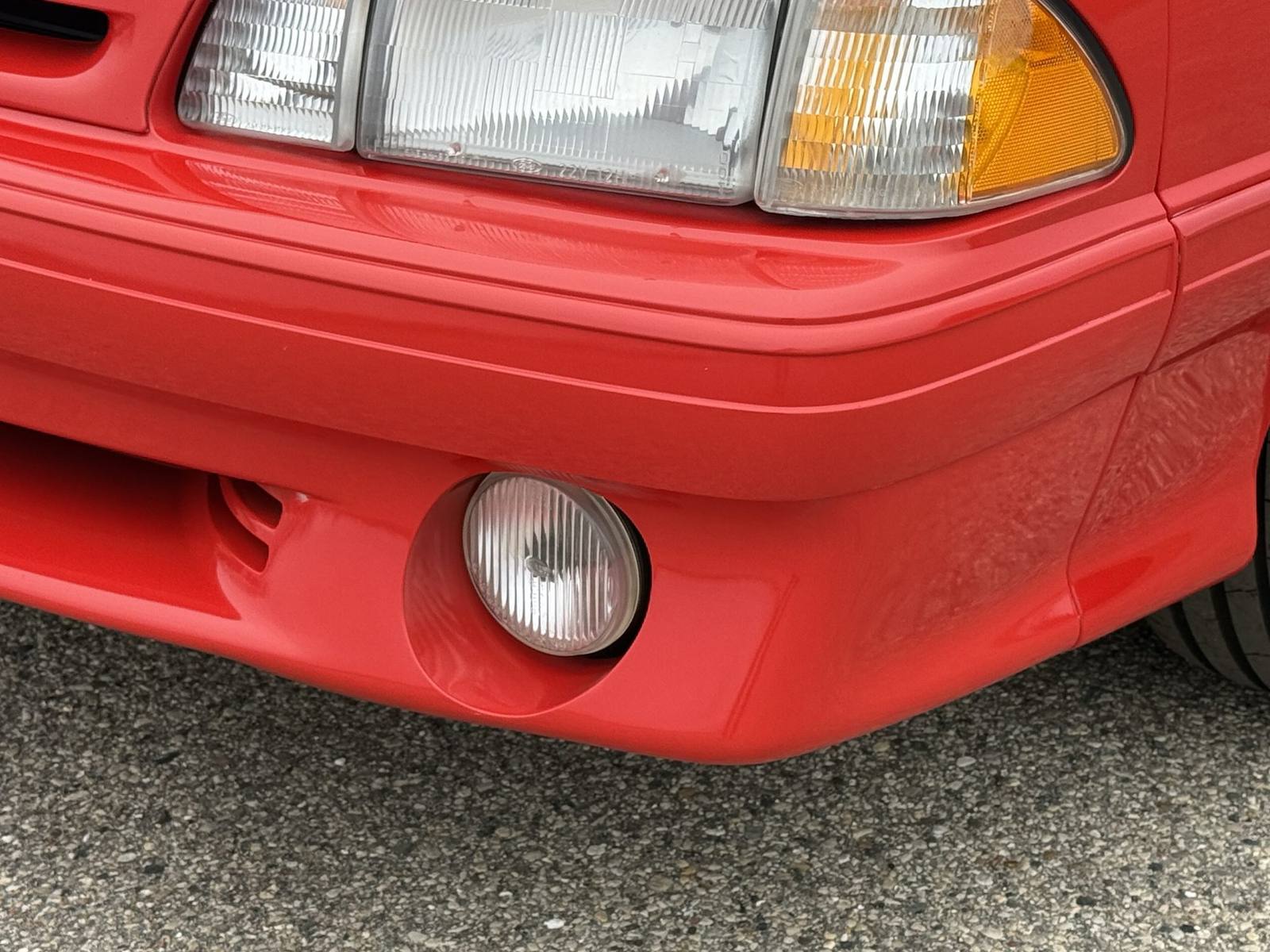 SVT Cobra (Fox)