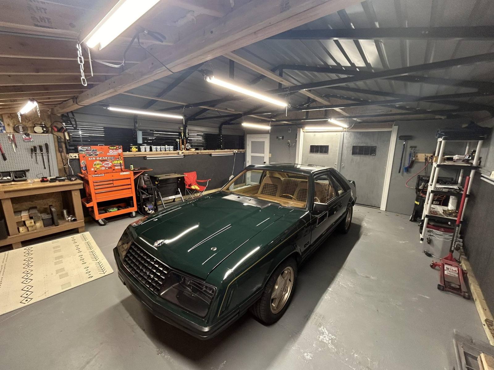 Ghia (Fox)