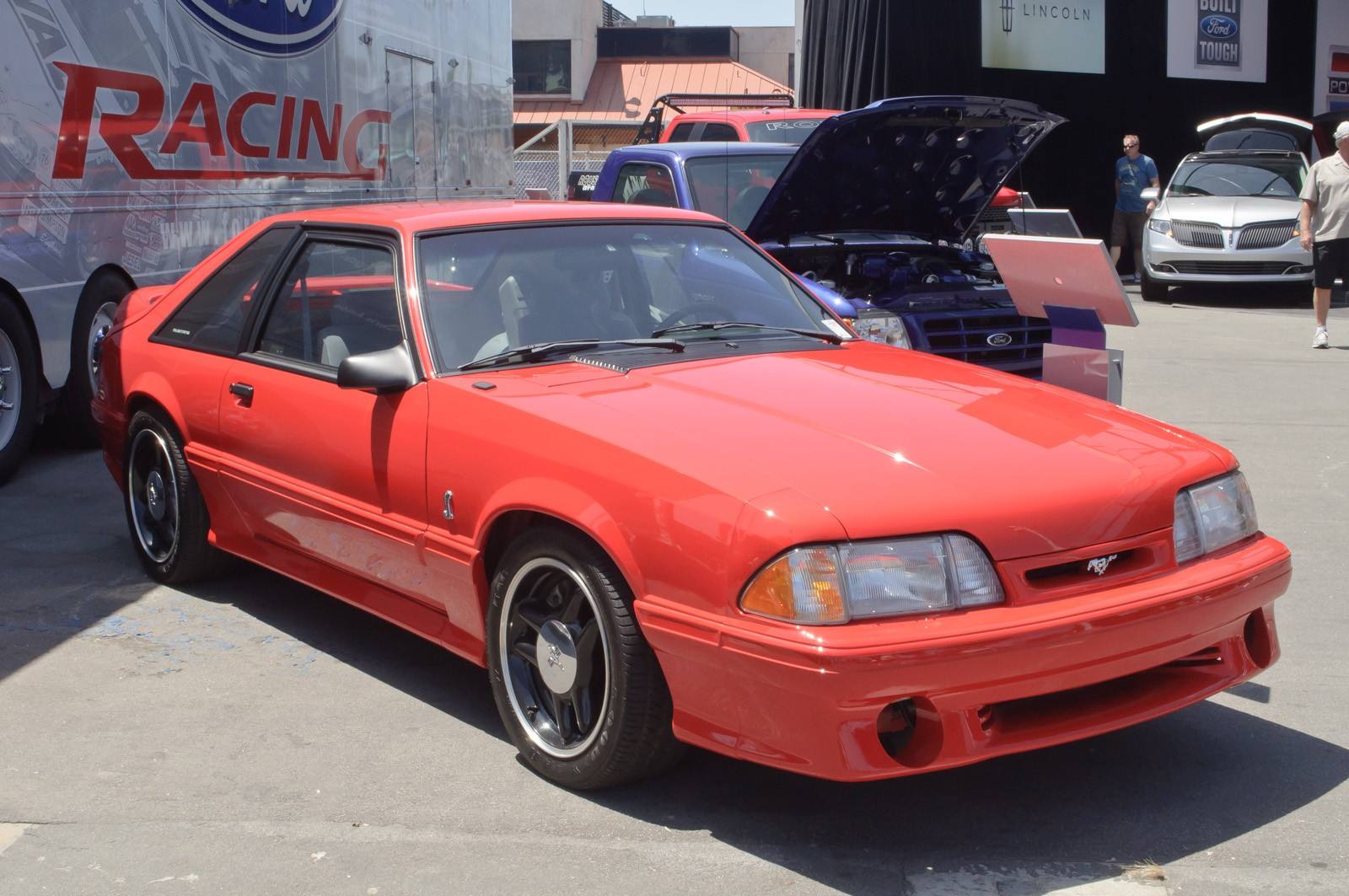 SVT Cobra R (Fox)