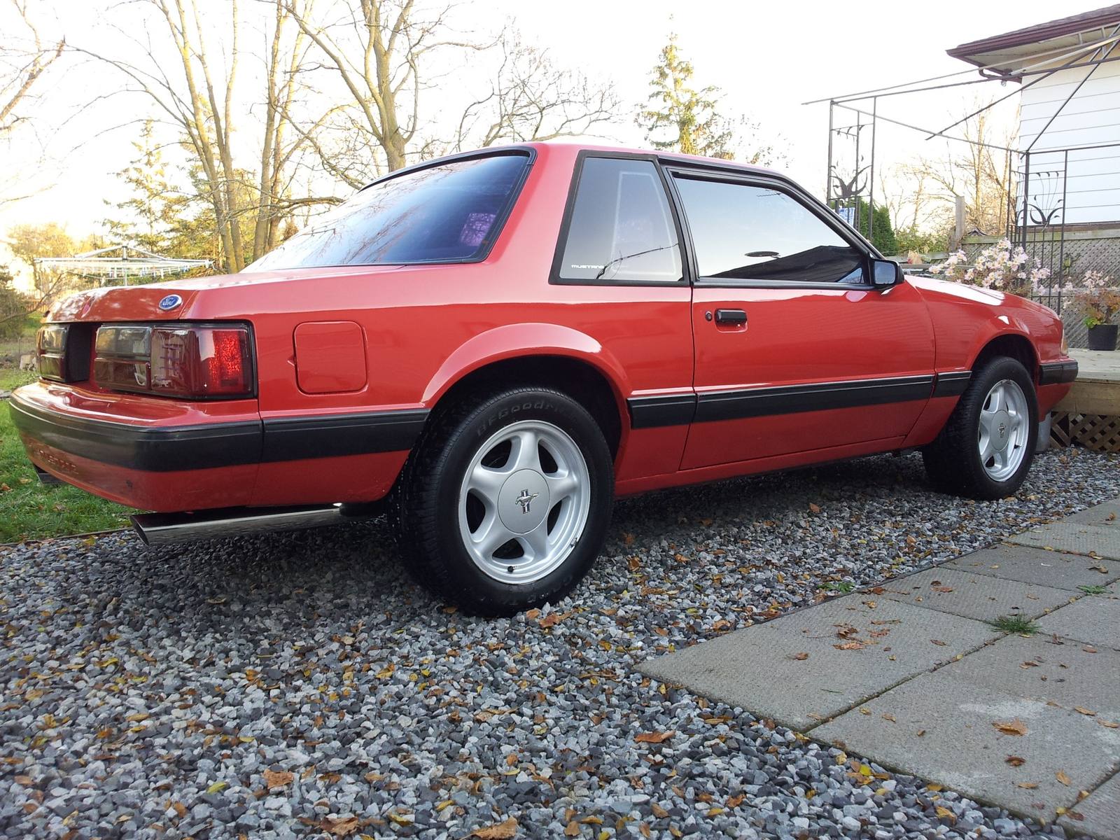 LX 5.0 (Fox)
