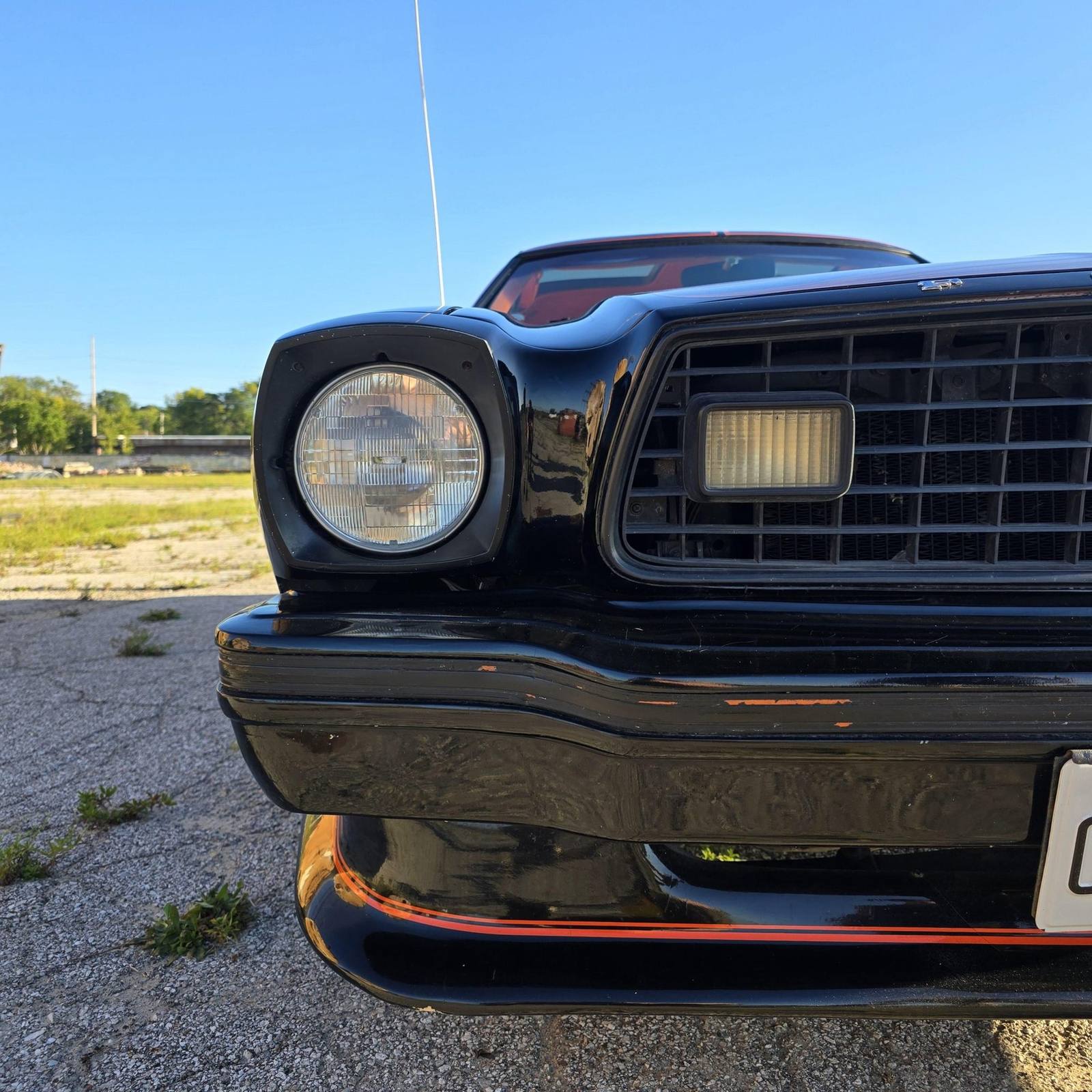 King Cobra (Mustang II)