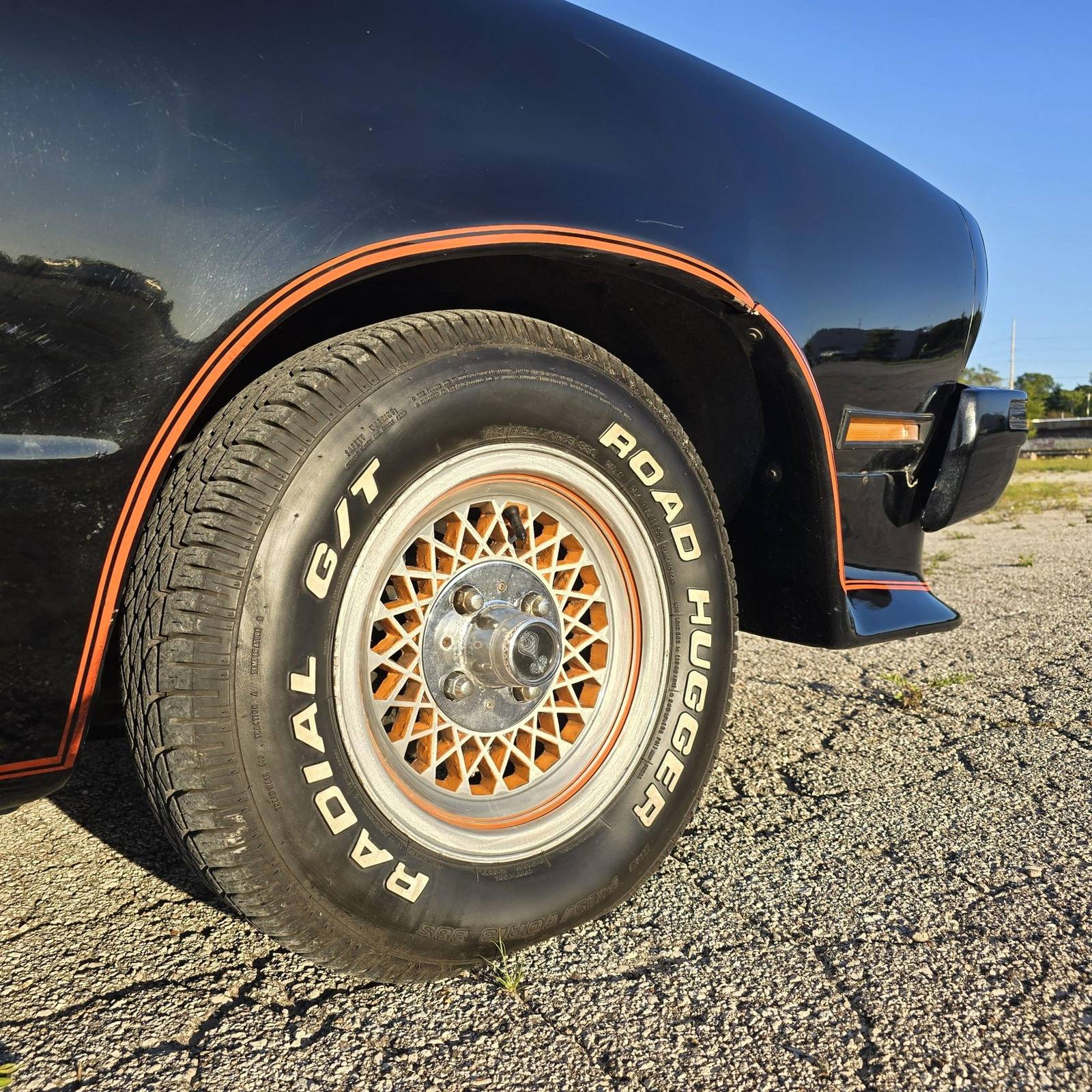 King Cobra (Mustang II)