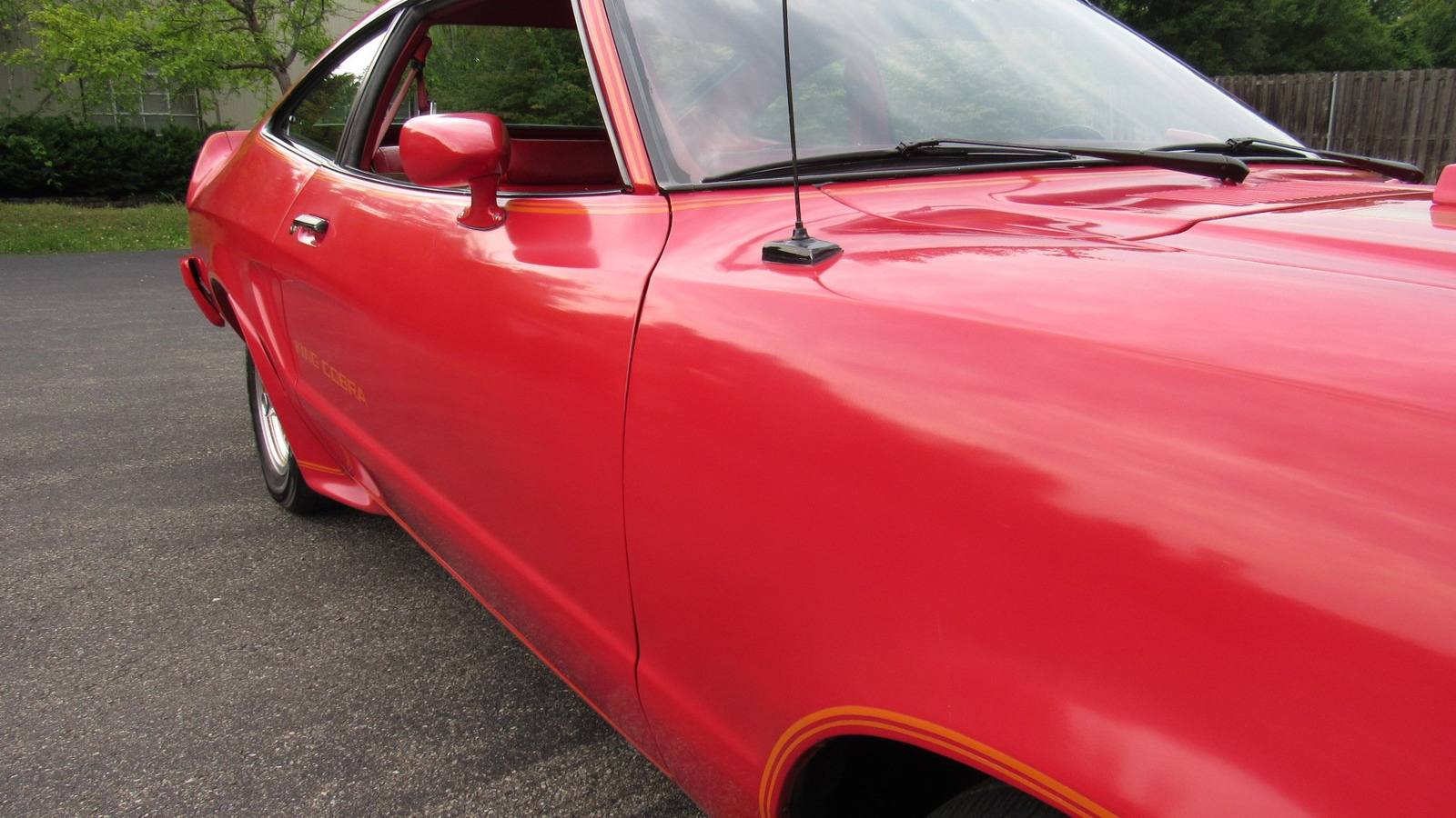 King Cobra (Mustang II)
