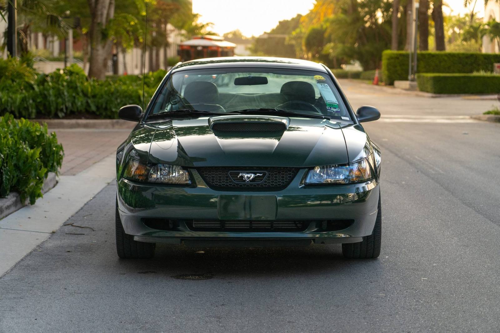Bullitt (SN95)