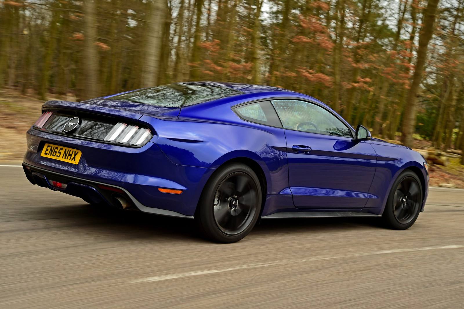 EcoBoost (S550)