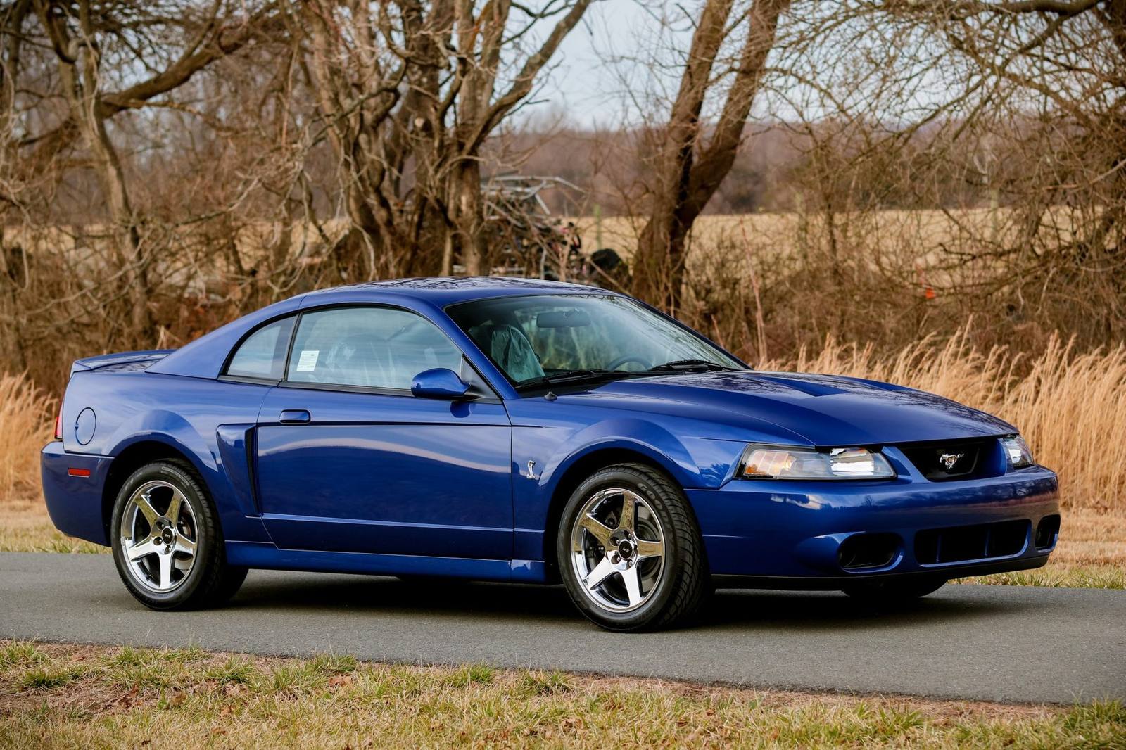 SVT Cobra (SN95)