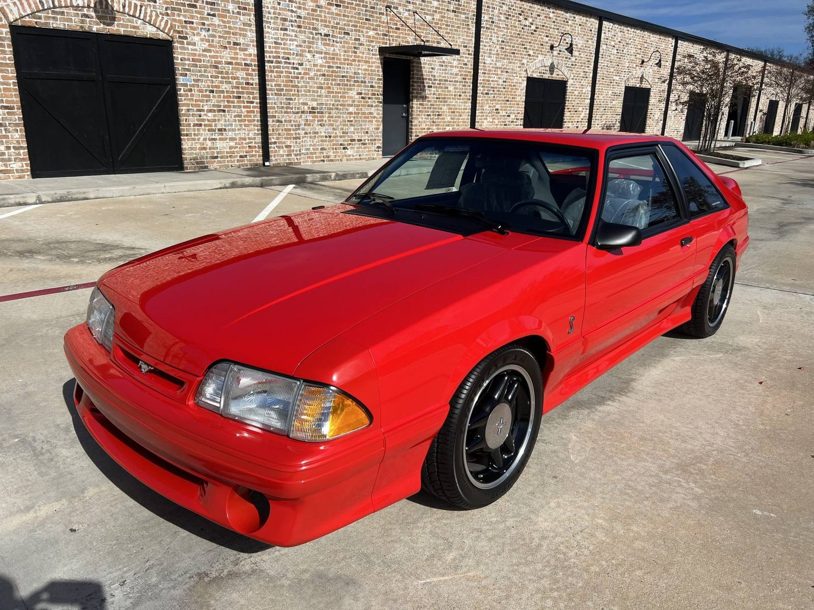 SVT Cobra R (Fox)