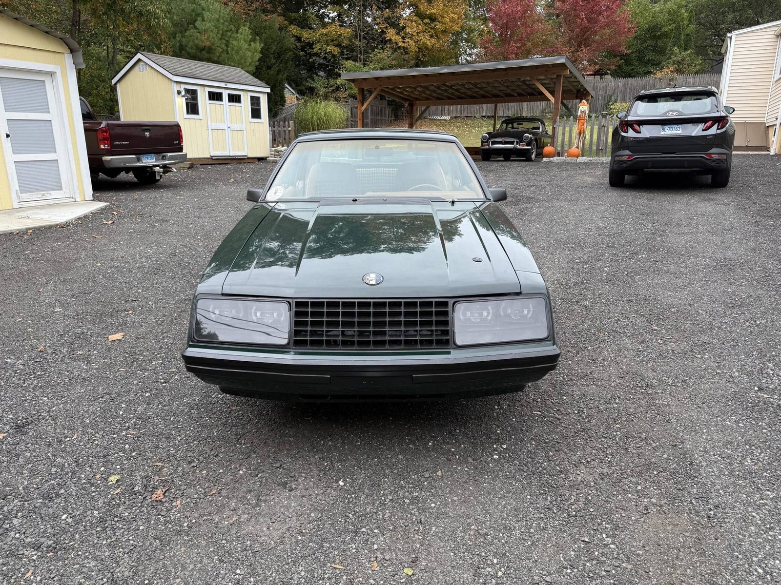 Ghia (Fox)