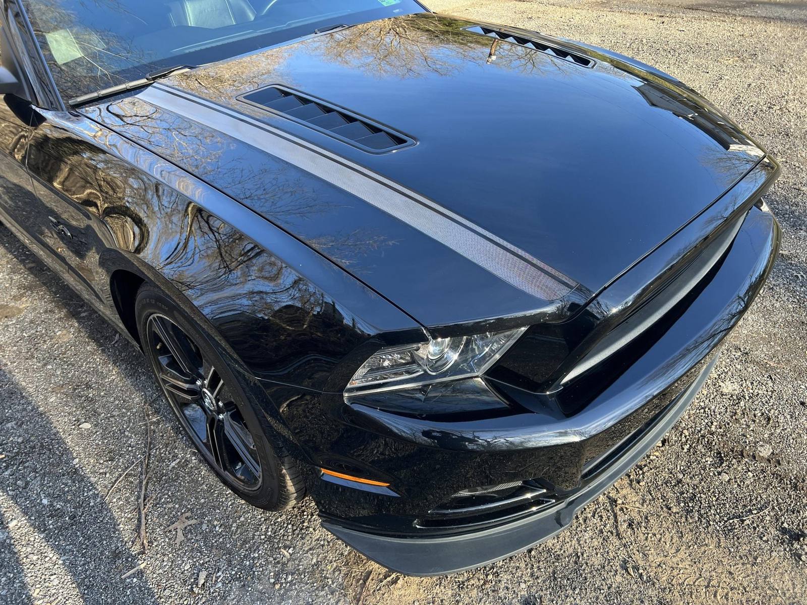 GT California Special (S197)