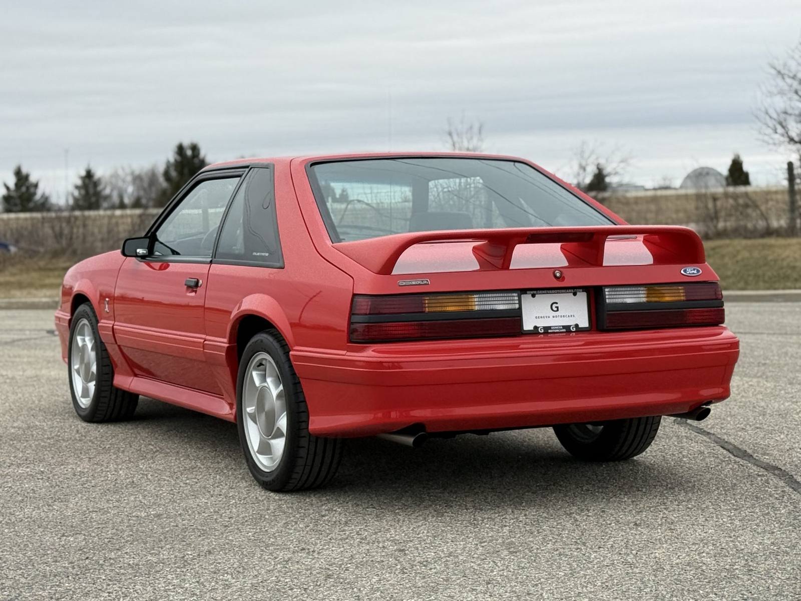 SVT Cobra (Fox)