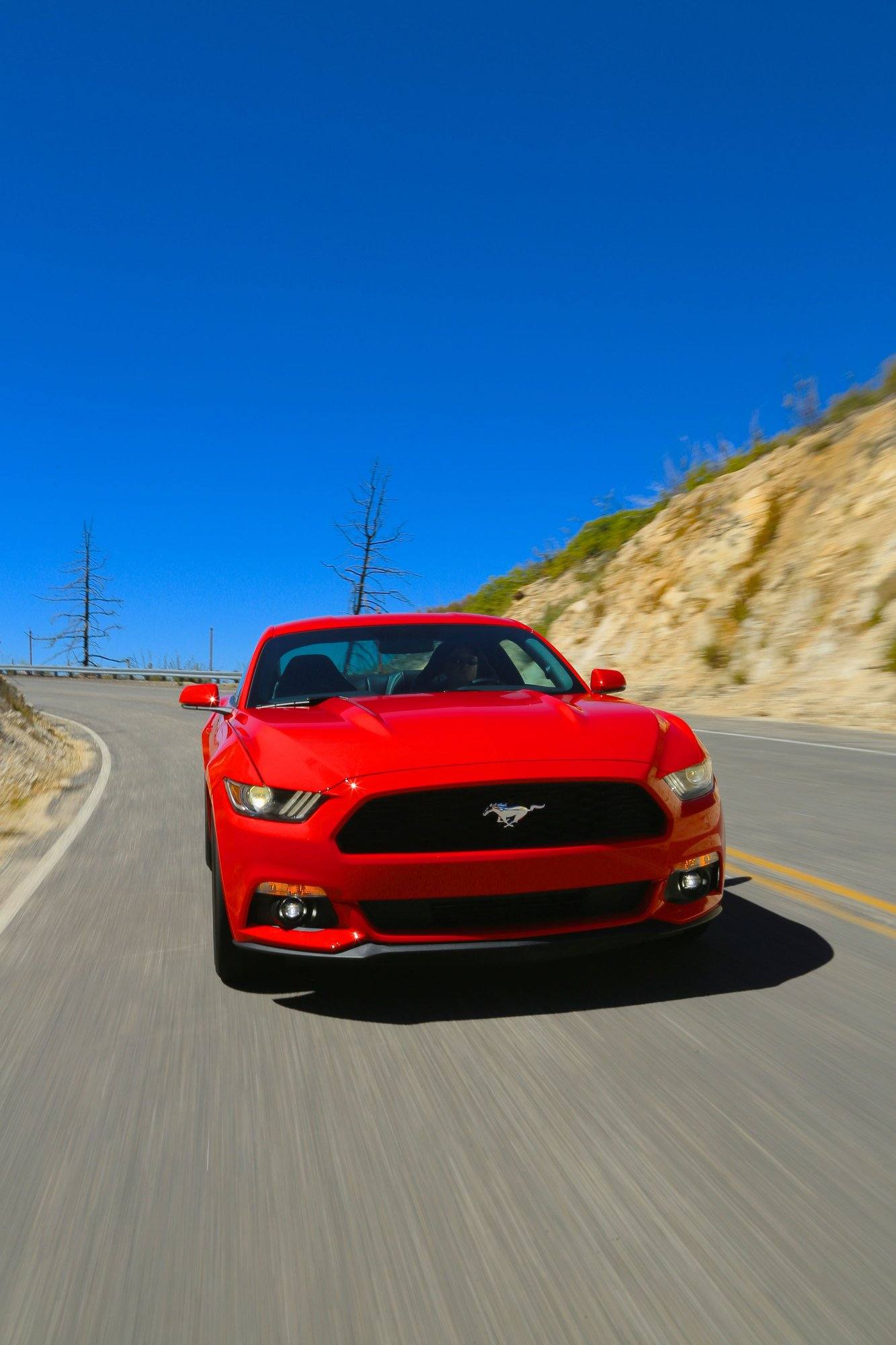 EcoBoost (S550)