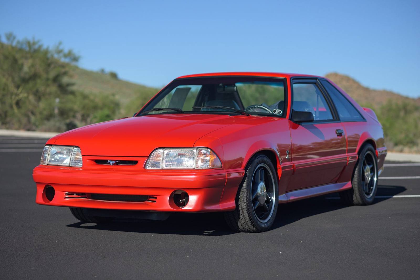 SVT Cobra R (Fox)