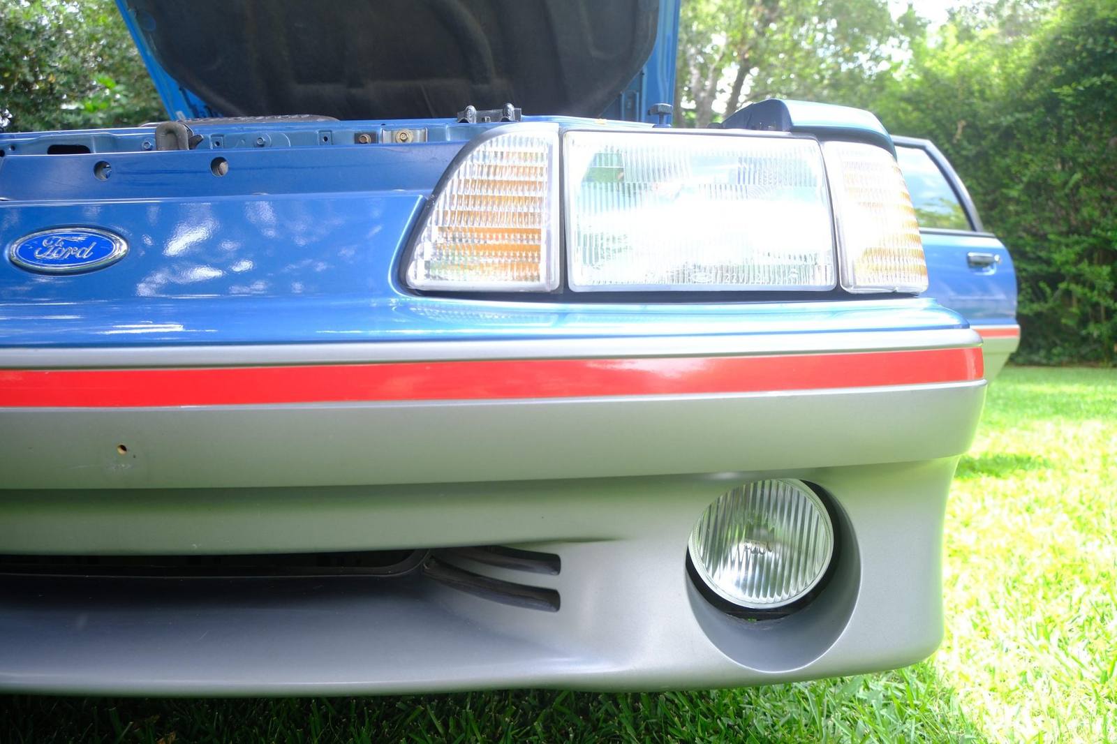 GT (Fox)