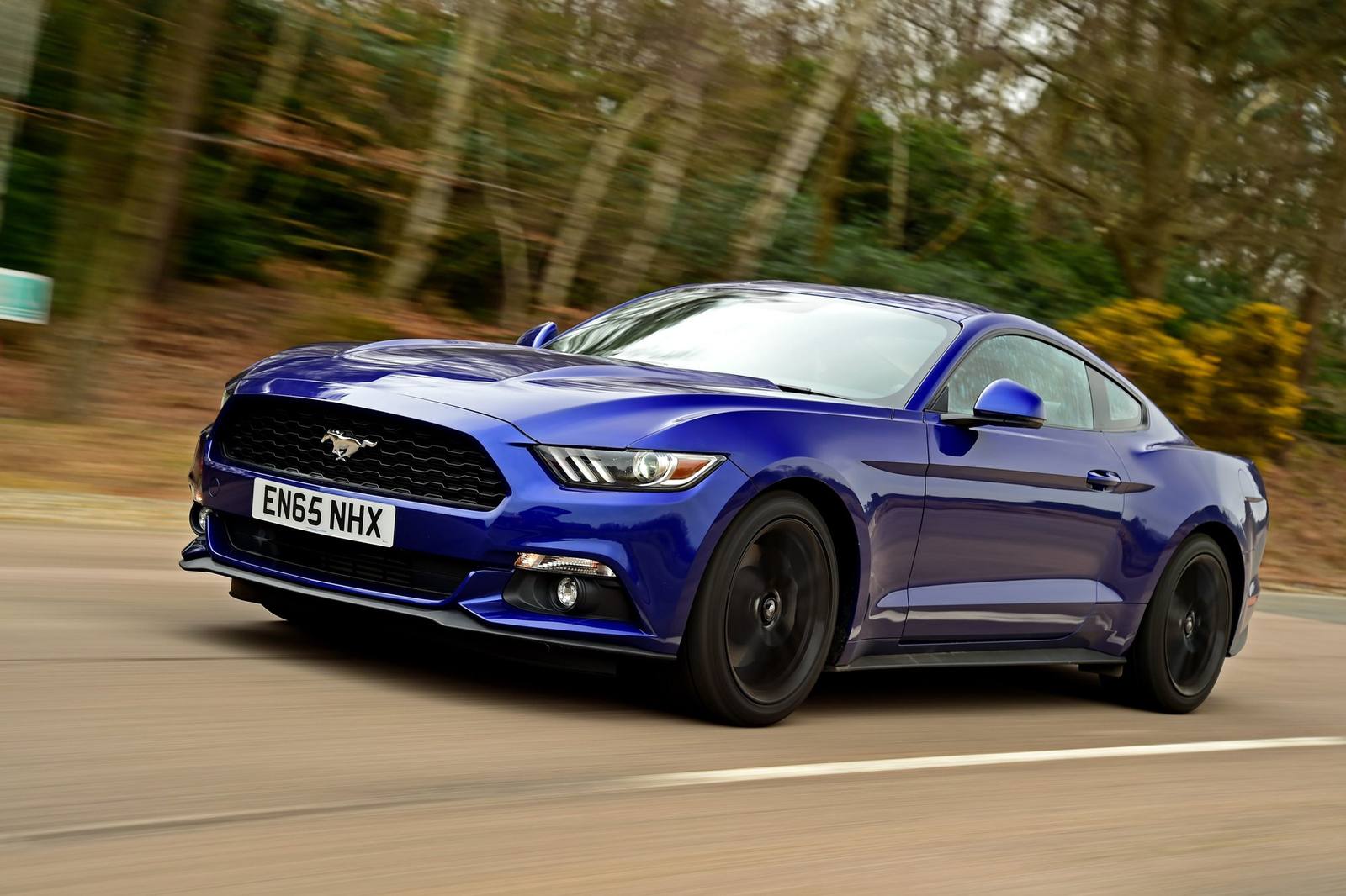 EcoBoost (S550)