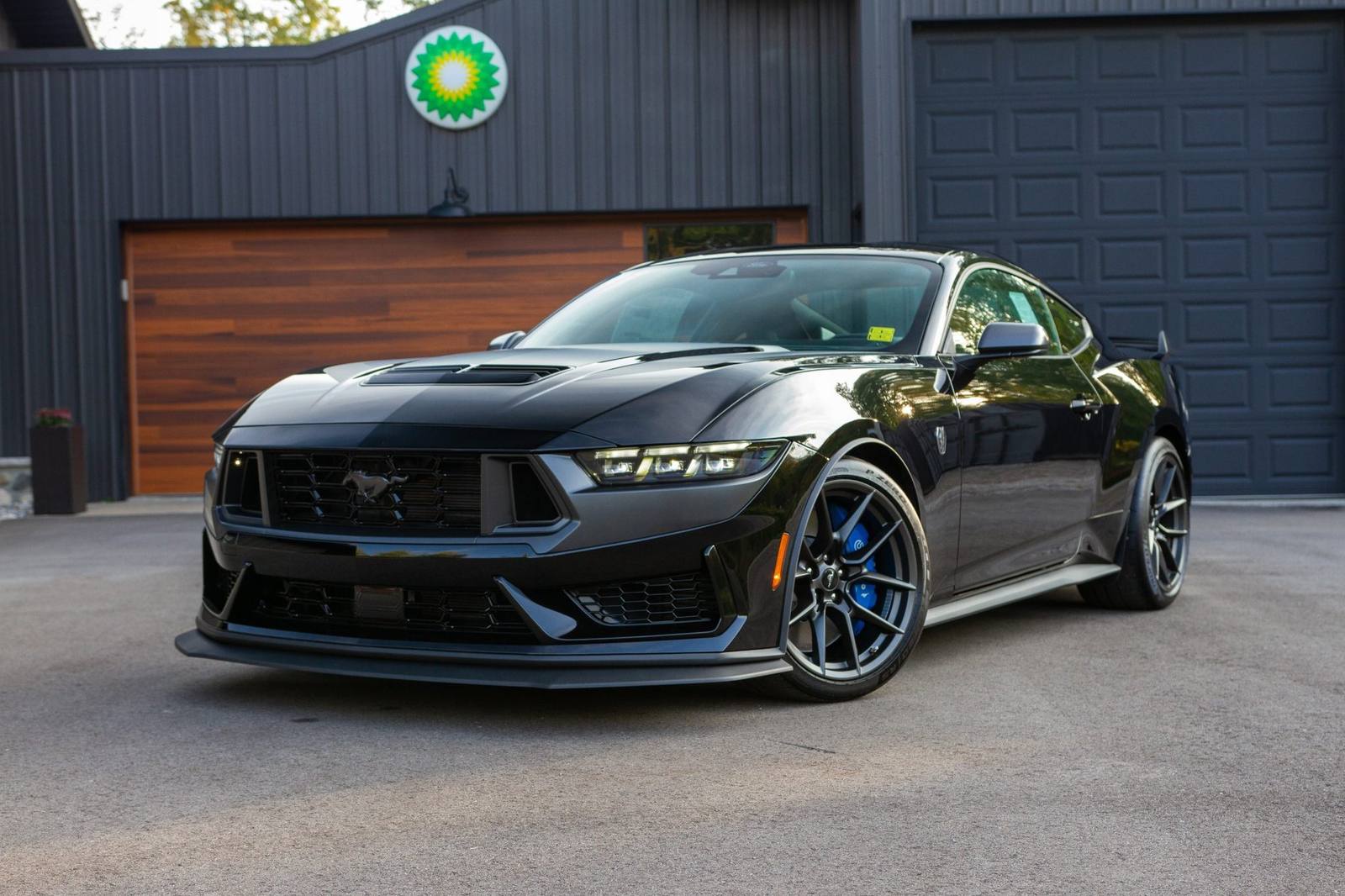 Dark Horse (S650)