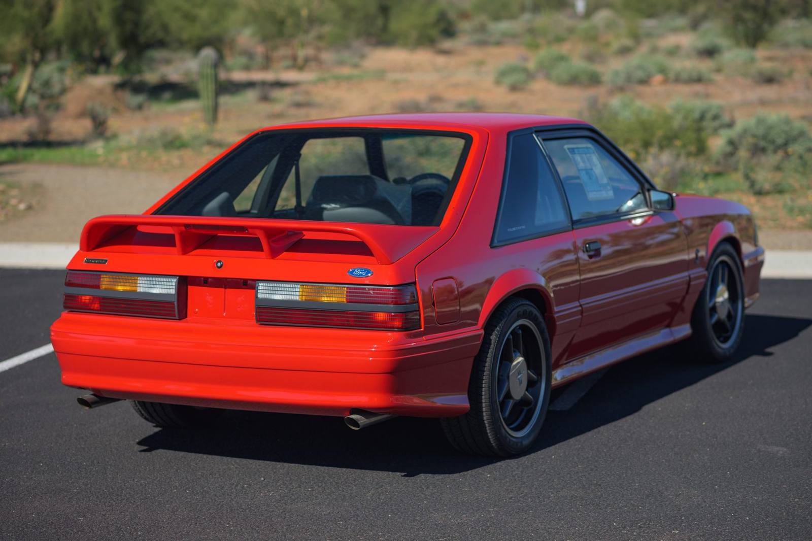 SVT Cobra R (Fox)