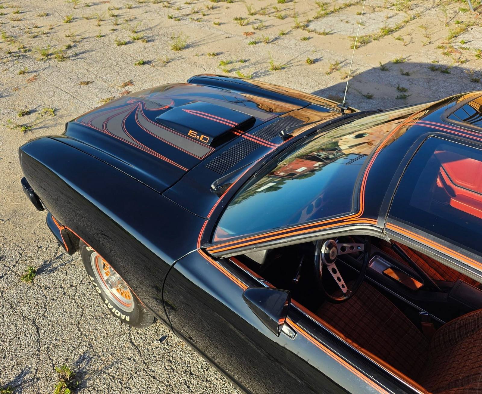 King Cobra (Mustang II)