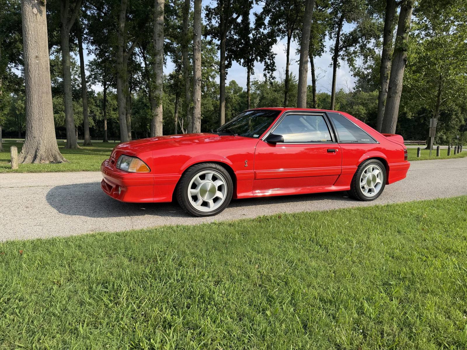 SVT Cobra (Fox)