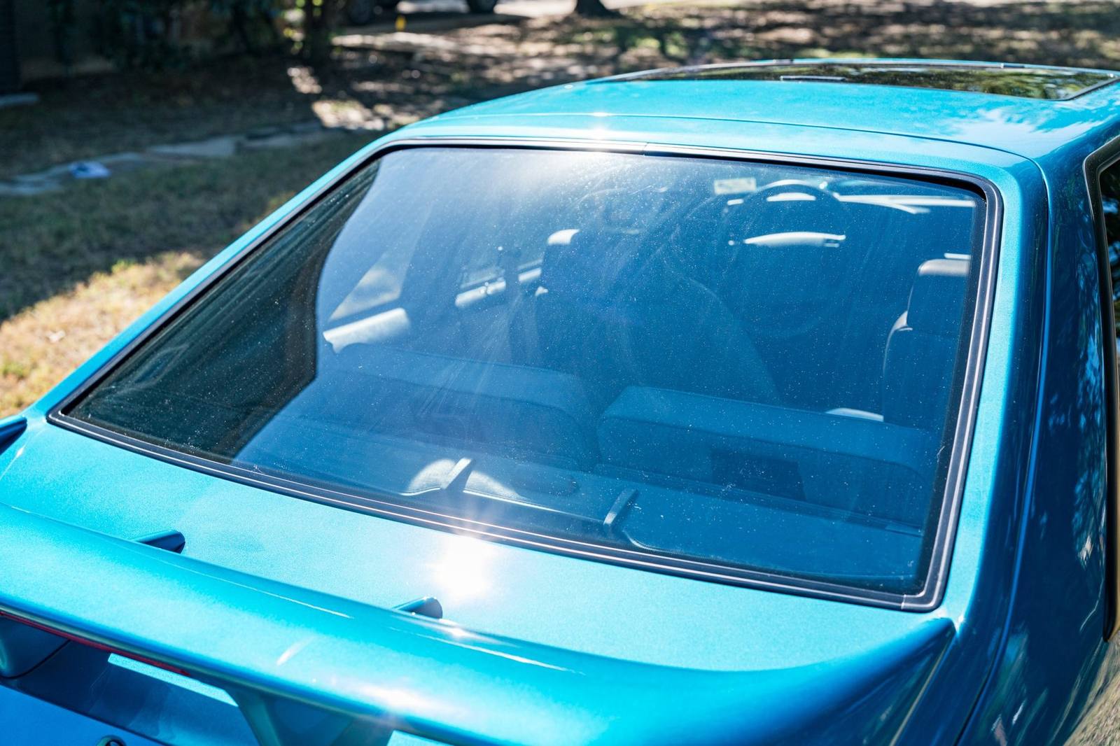 SVT Cobra (Fox)
