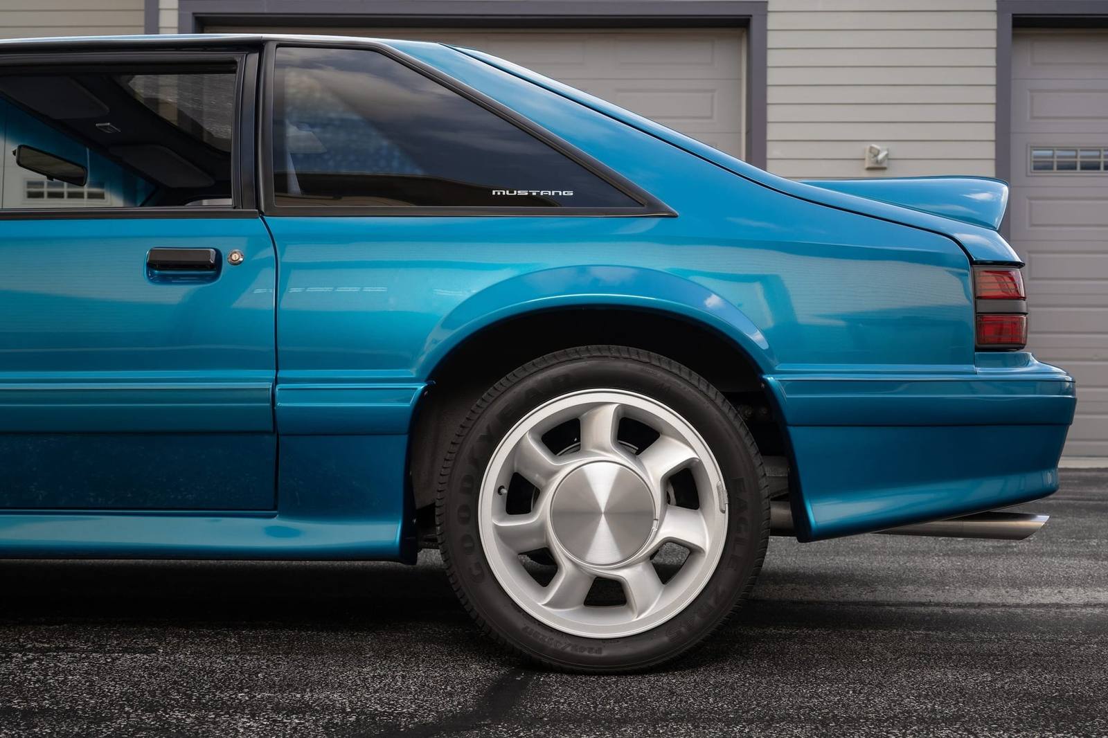 SVT Cobra (Fox)
