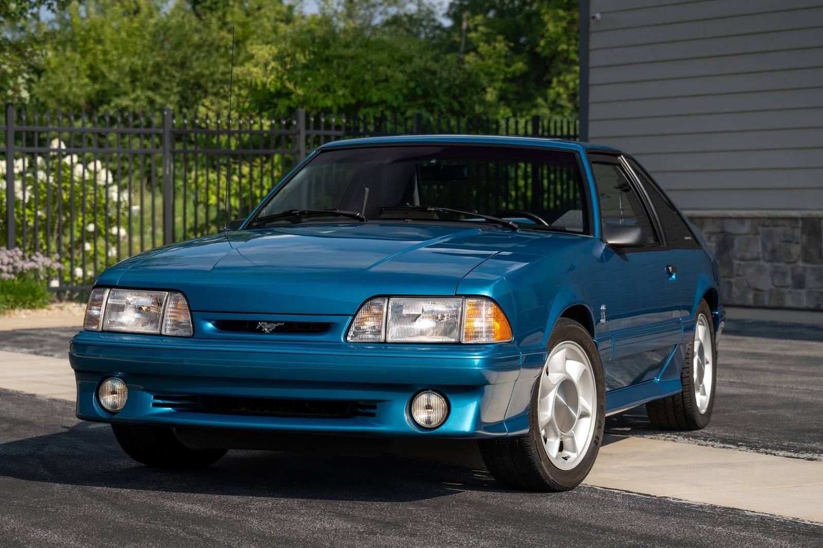 SVT Cobra (Fox)