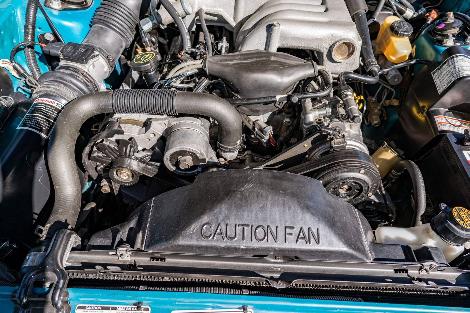 SVT Cobra (Fox)