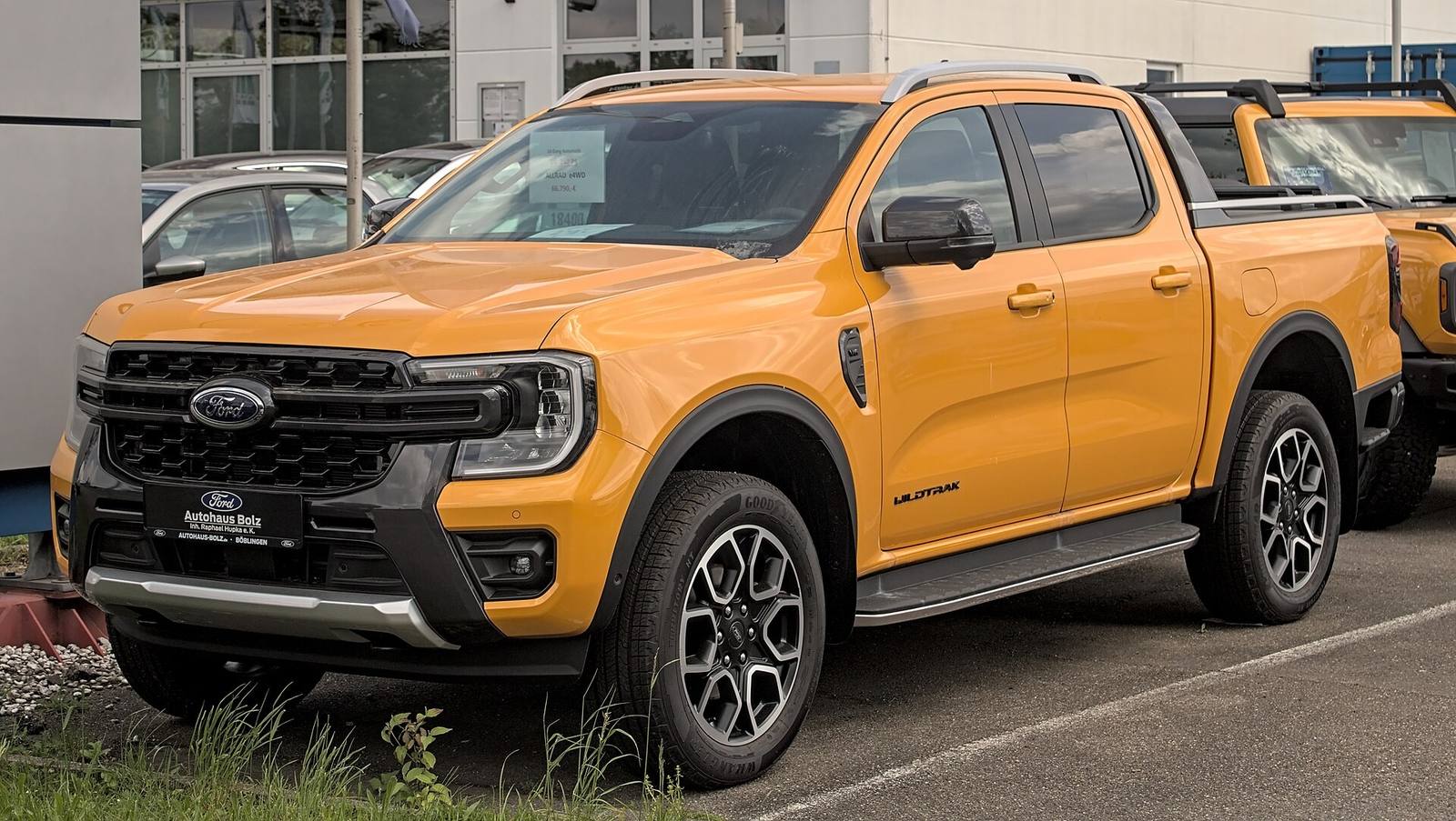 Wildtrak (2022)