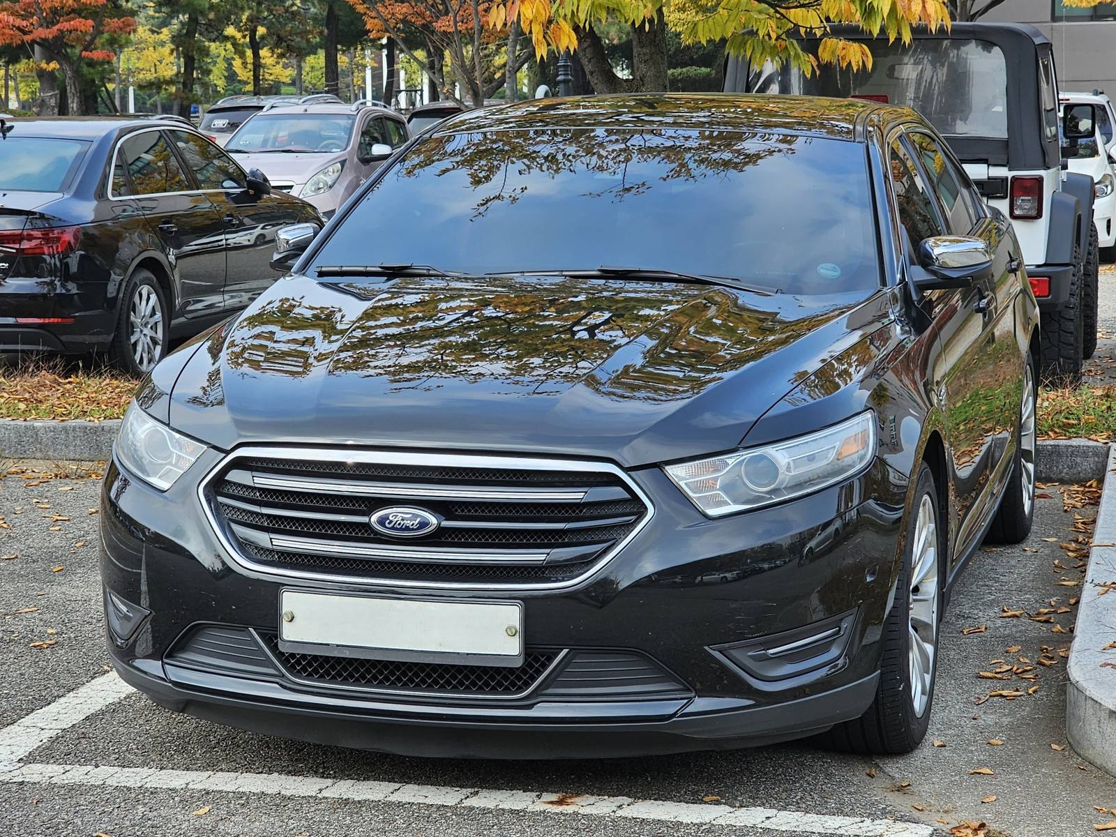 Taurus Limited (2013)