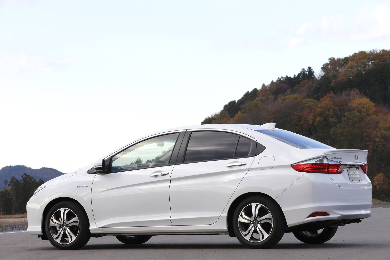Grace Hybrid EX (GM4)