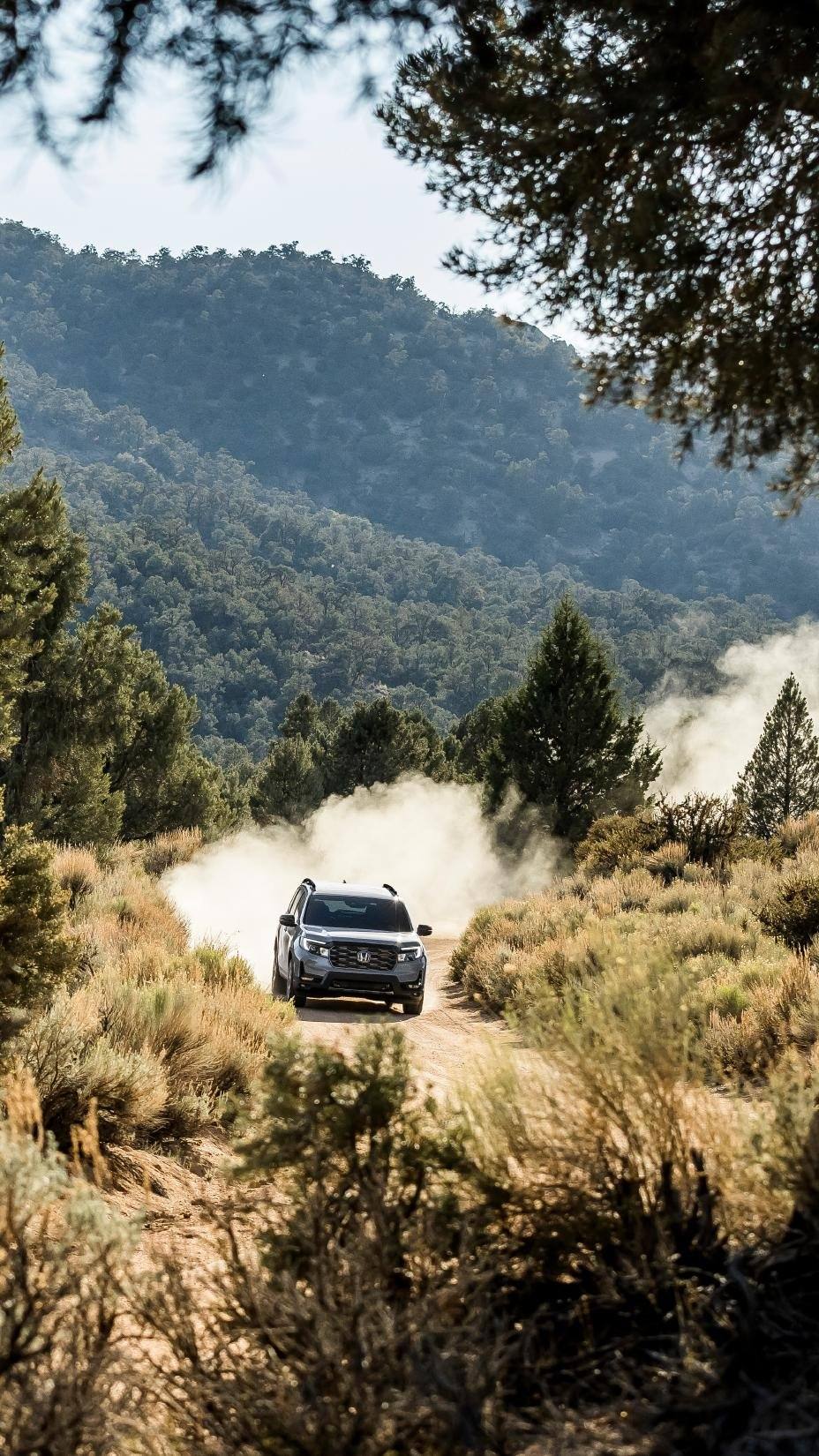 TrailSport