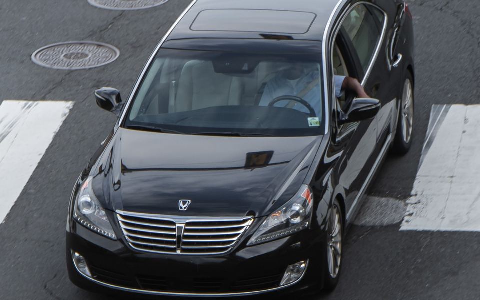 Equus