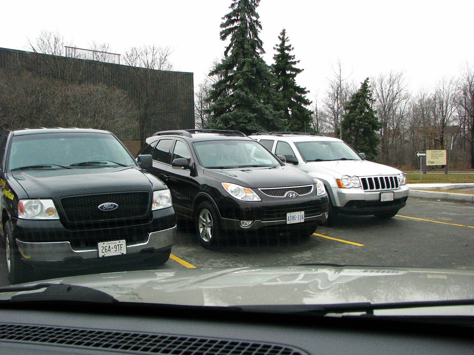 3.8 V6 Limited