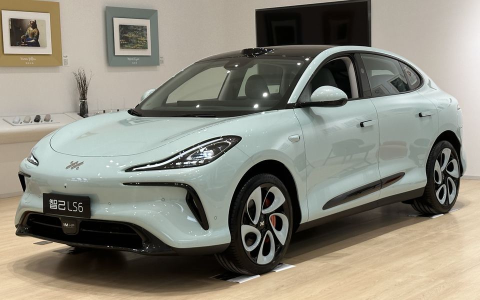 LS6