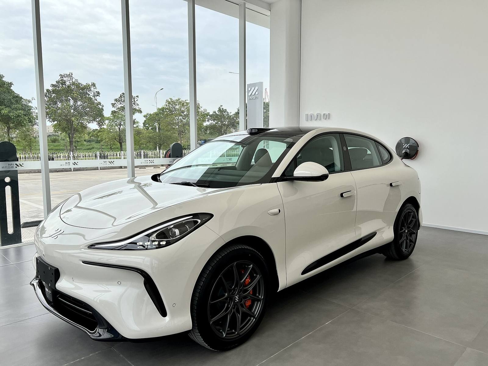 LS6 Standard