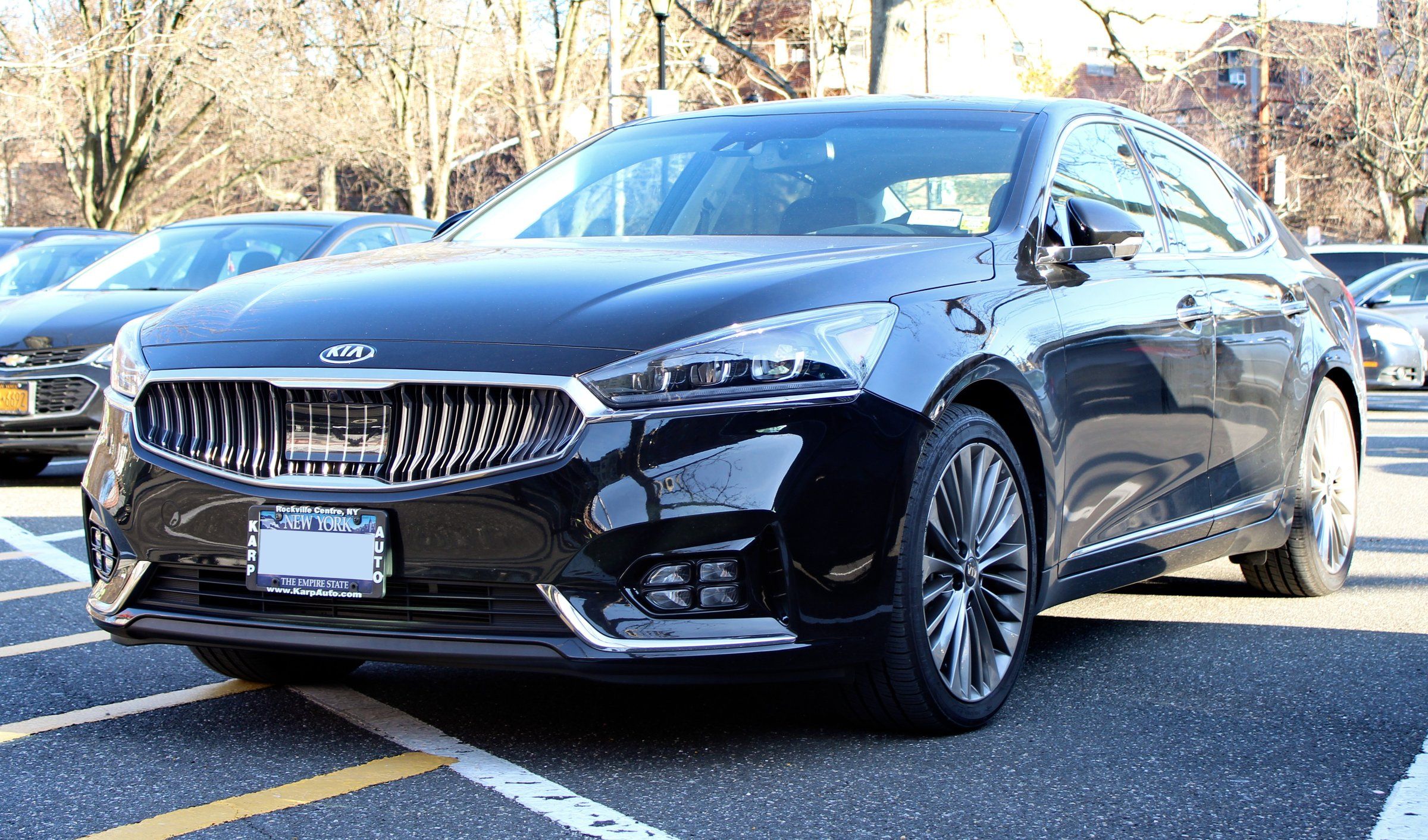 Cadenza