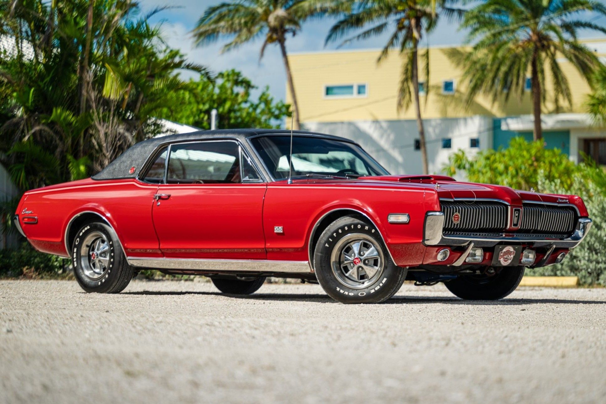 Cougar