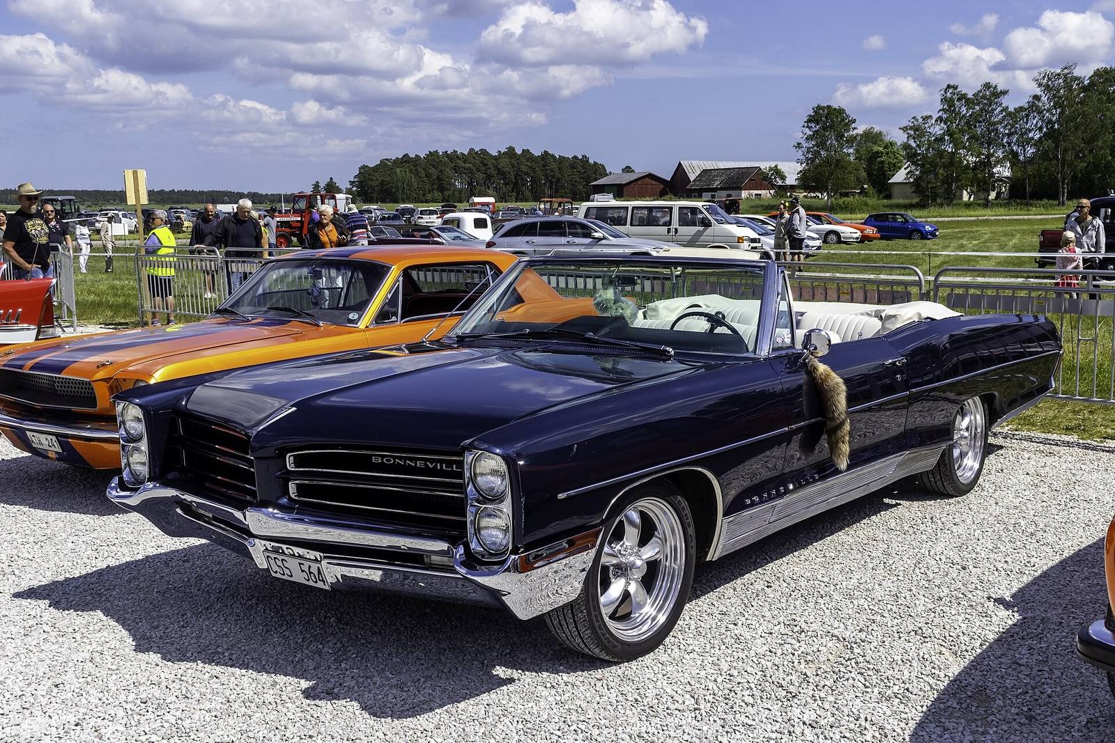 Bonneville 389