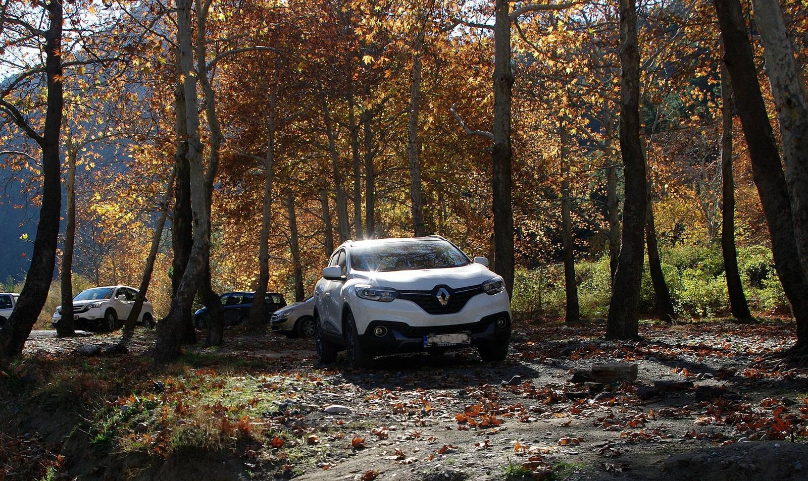 Kadjar TCe 130