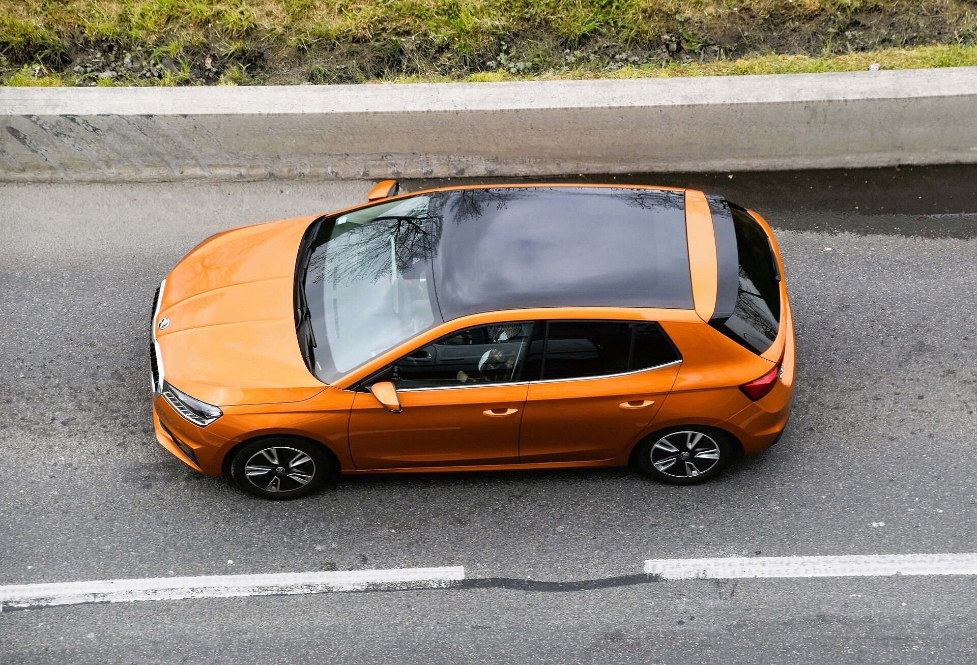 Fabia