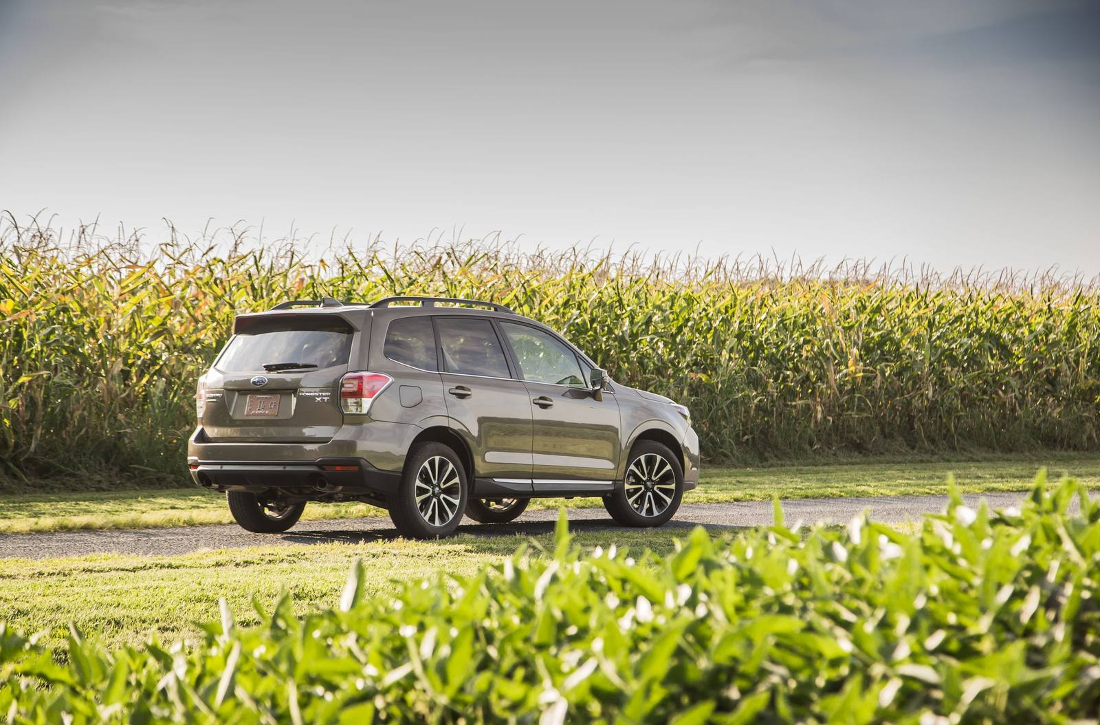 Forester 2.0XT Turbo (SJ)