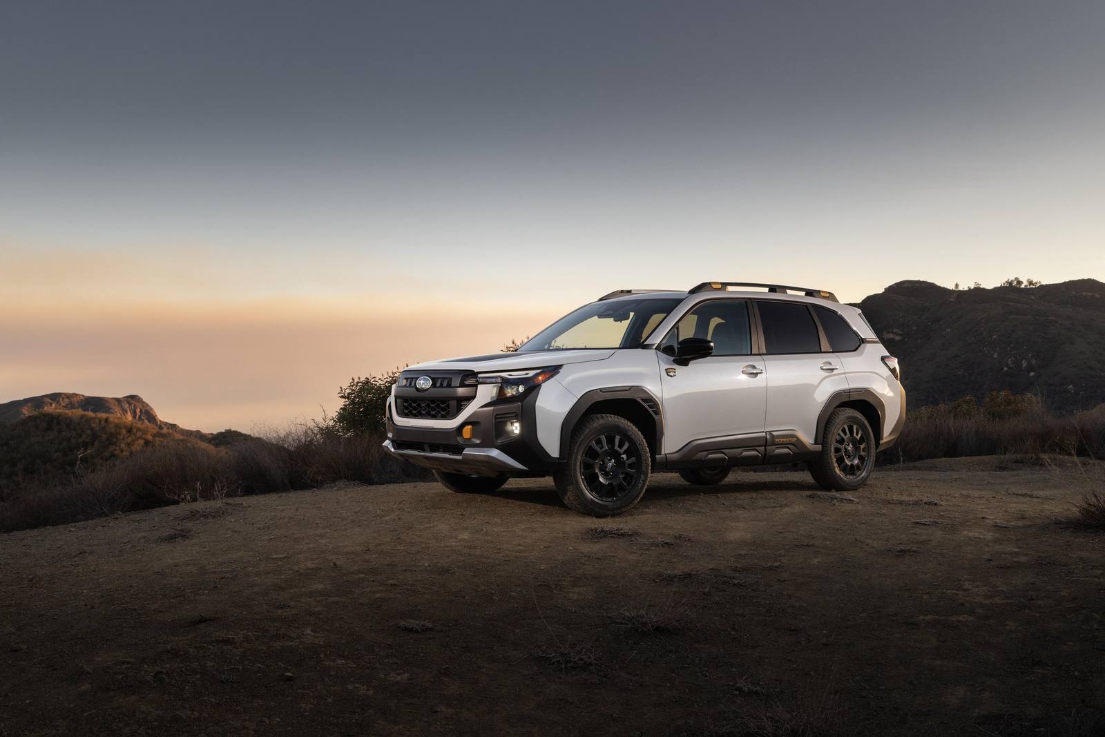 Forester Wilderness (SL)